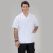 Men's Classic Collar Short Sleeve Short Apron (Tericoton Thin Fabric)